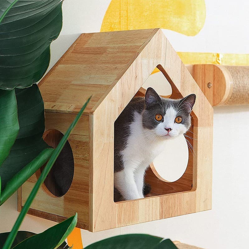 Pet wooden toys
